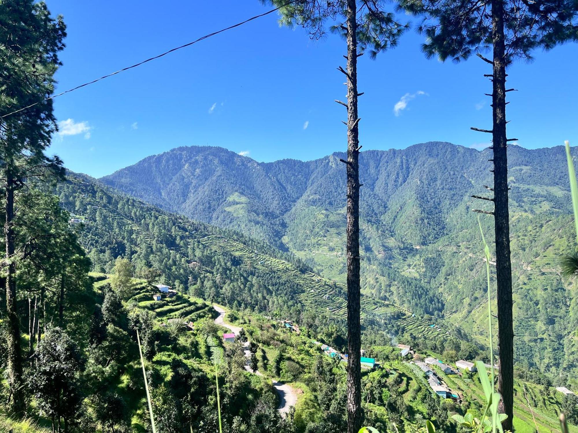 Himalayan Hill Top Resort كاناتال المظهر الخارجي الصورة